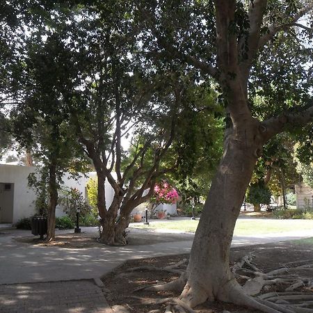 Almog Kibbutz Hotel Buitenkant foto
