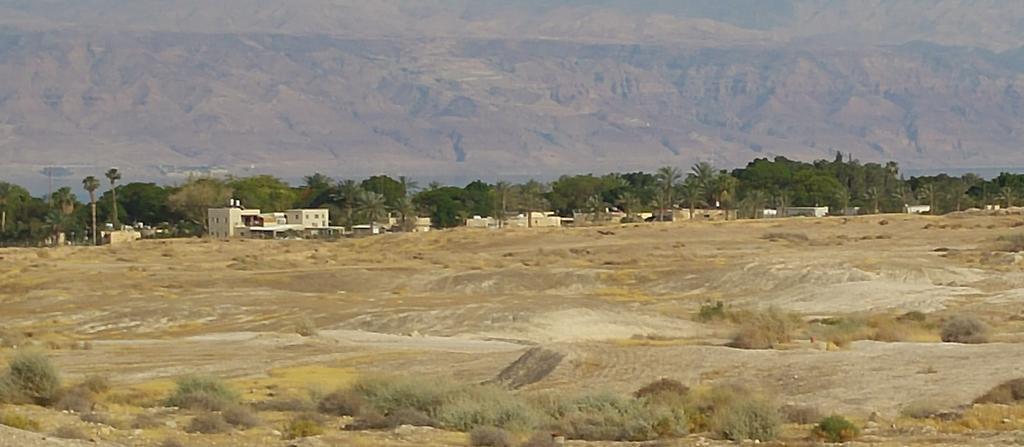 Almog Kibbutz Hotel Buitenkant foto